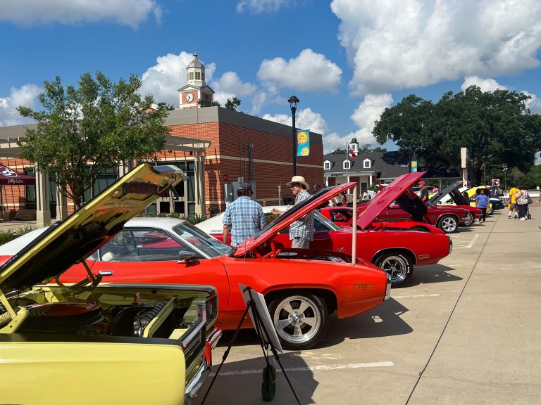 car 161532 768x576