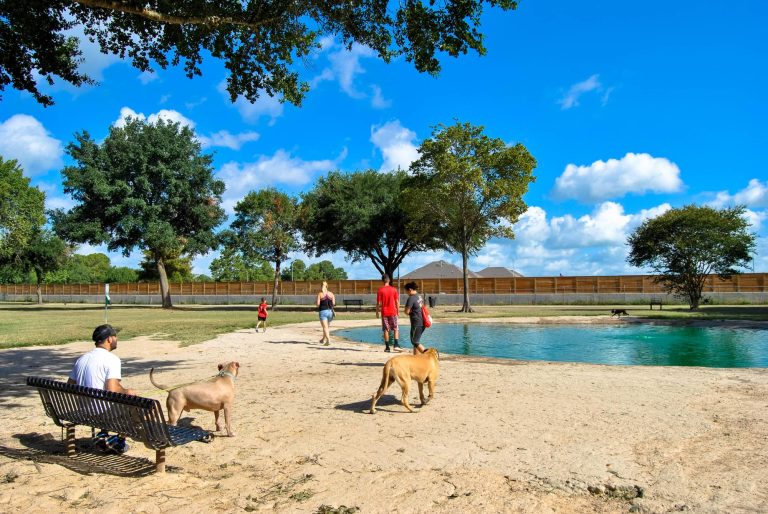 dogpark 768x514