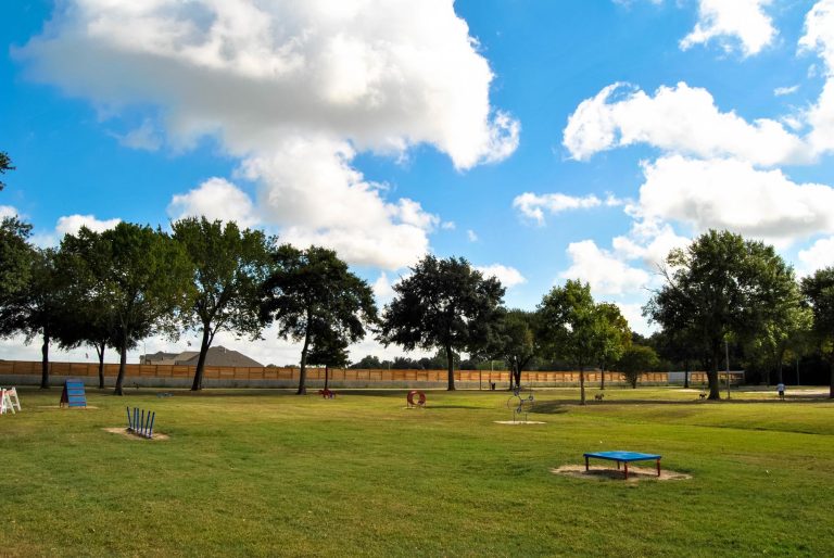 dogpark2 768x514