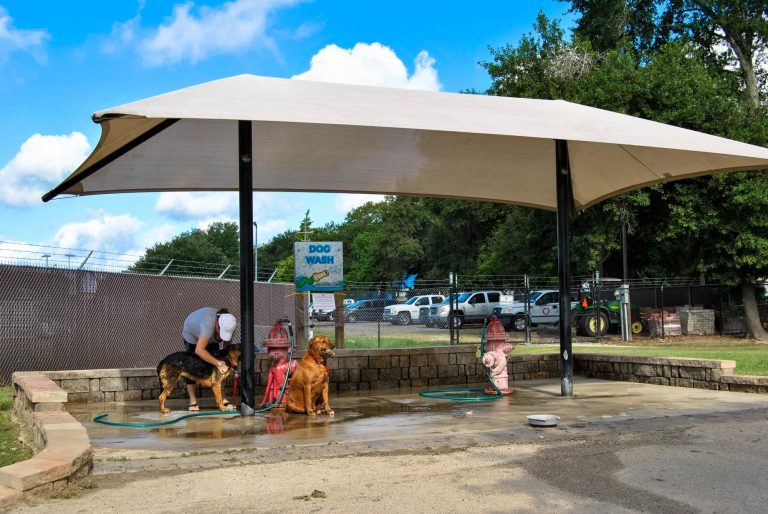 dogpark3 768x514